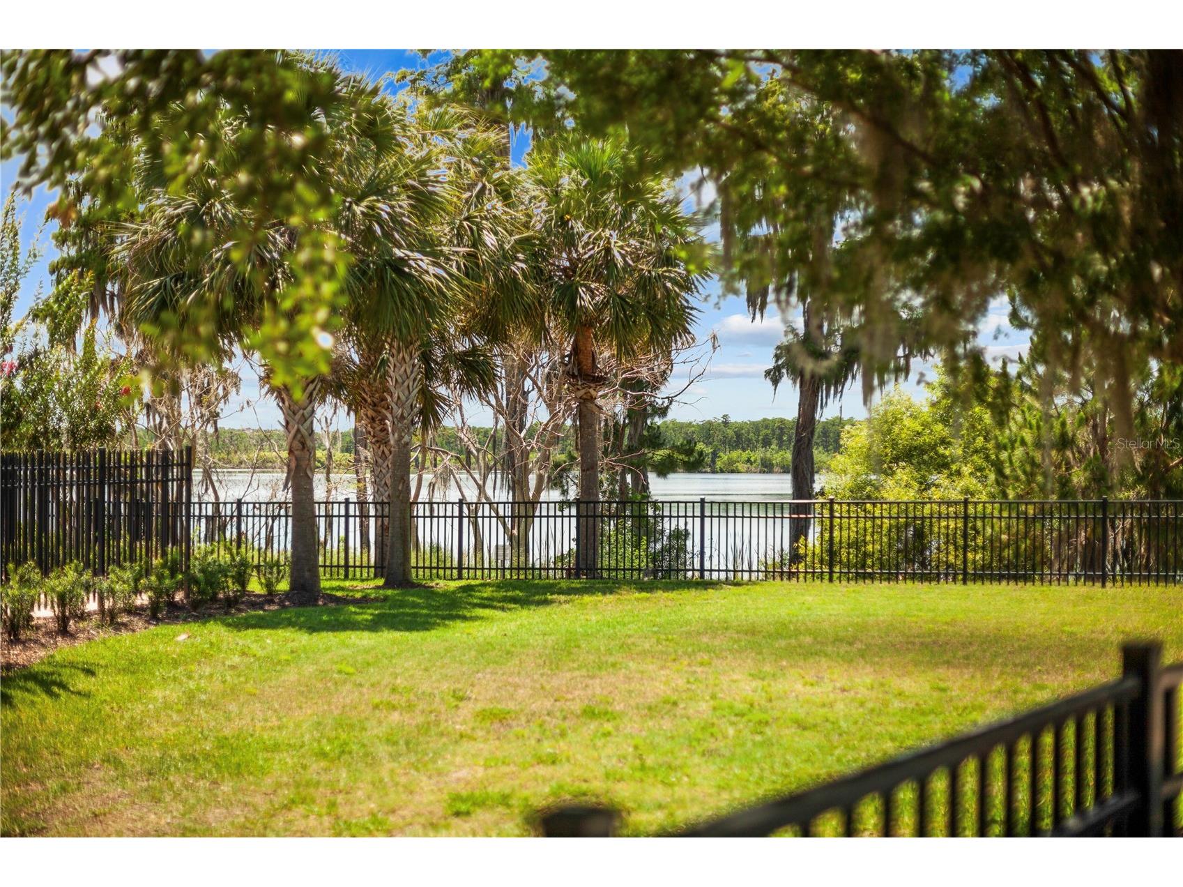 8394 Lookout Pointe Drive Windermere FL 34786 O6413196 image58