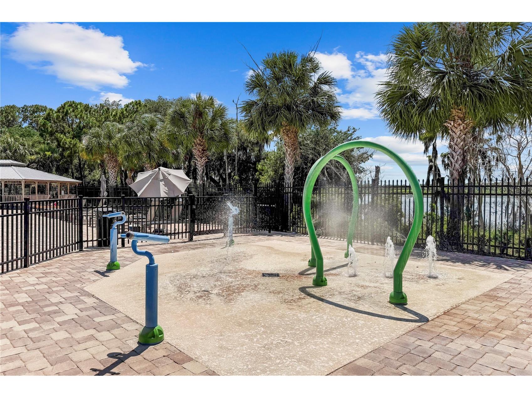 8394 Lookout Pointe Drive Windermere FL 34786 O6413196 image59