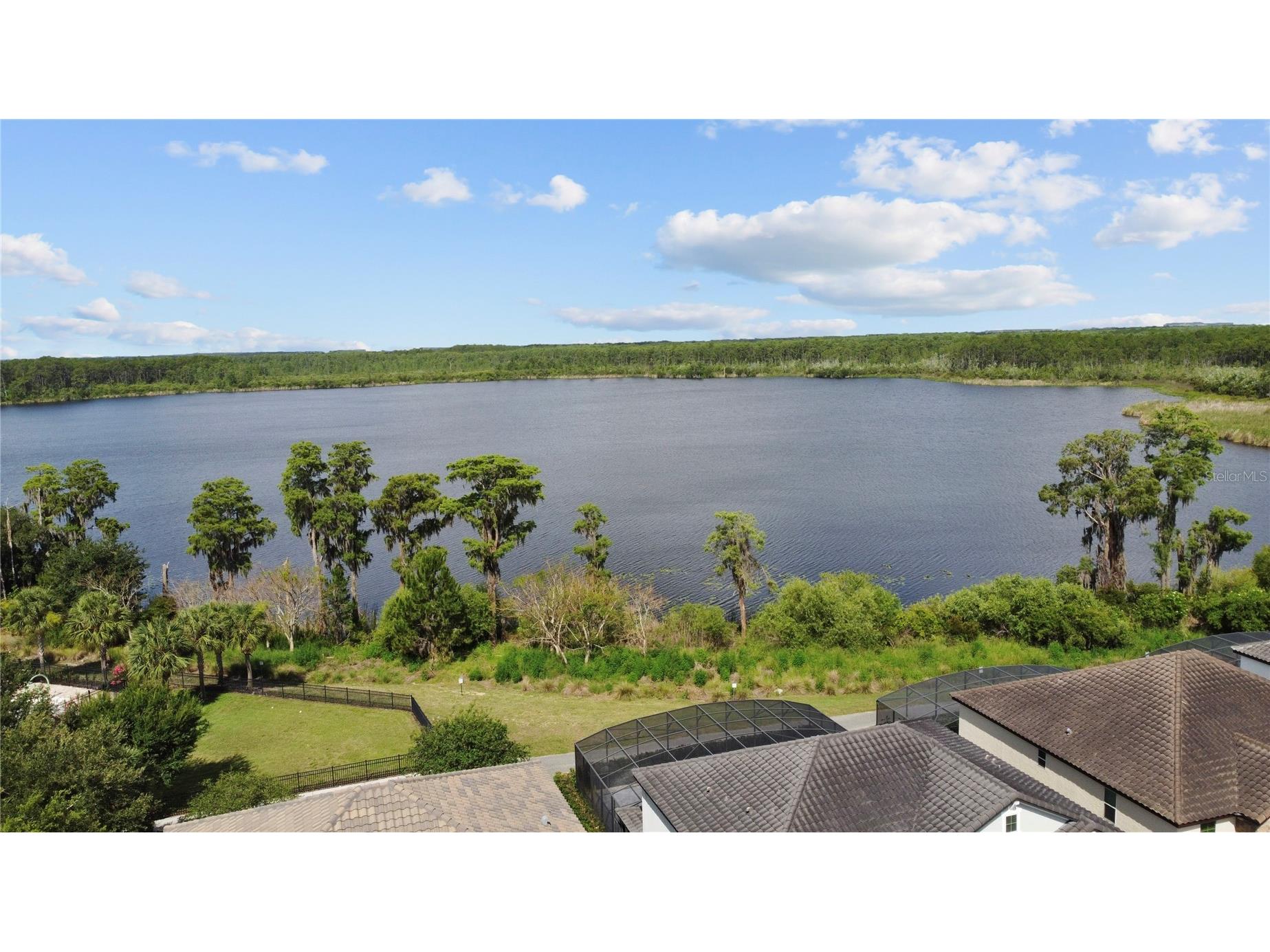 8394 Lookout Pointe Drive Windermere FL 34786 O6413196 image65