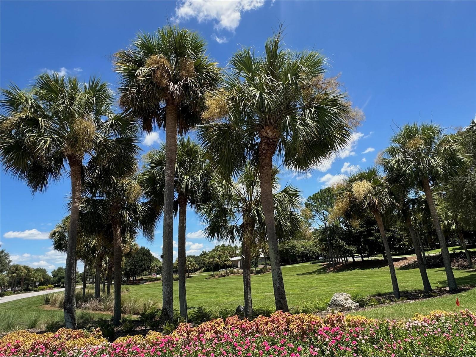 8394 SW 82nd Loop Ocala FL 34481 OM729104 image40