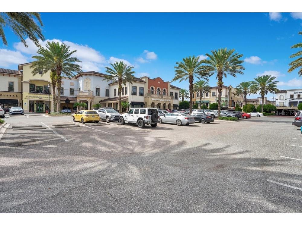 8394 Via Vittoria Way Orlando FL 32819 O6357775 image75