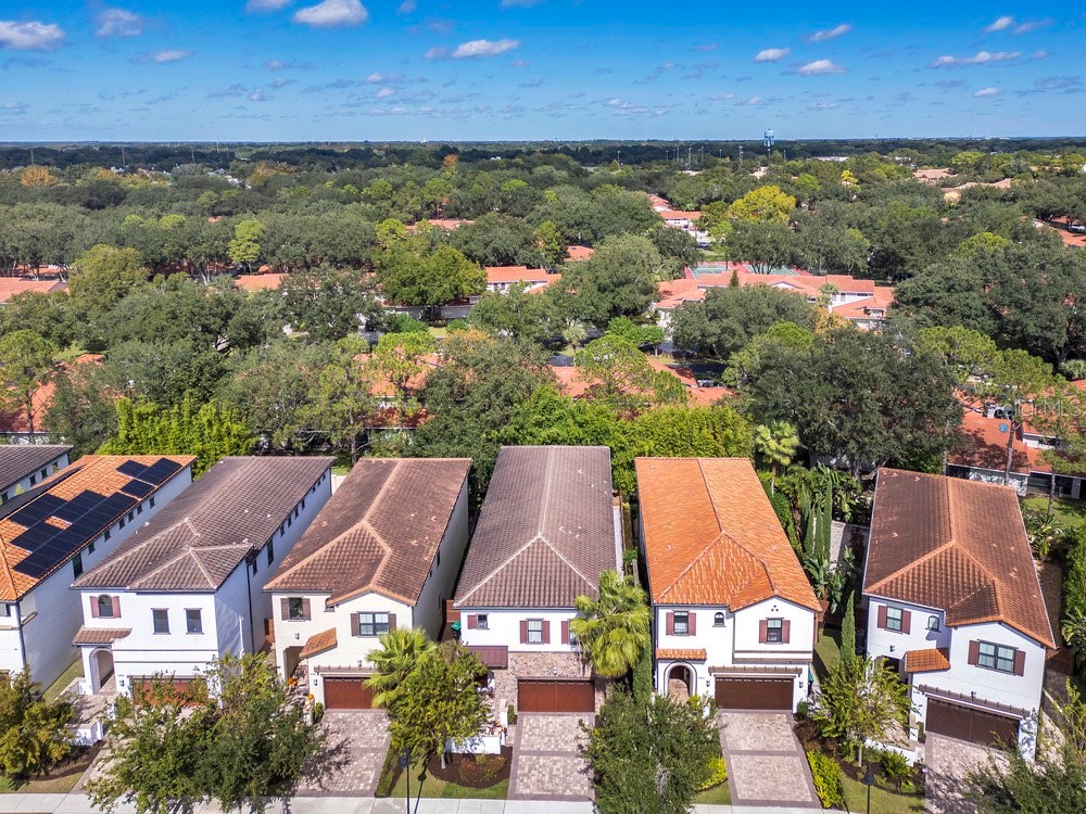 8394 Via Vittoria Way Orlando FL 32819 O6357775 image76