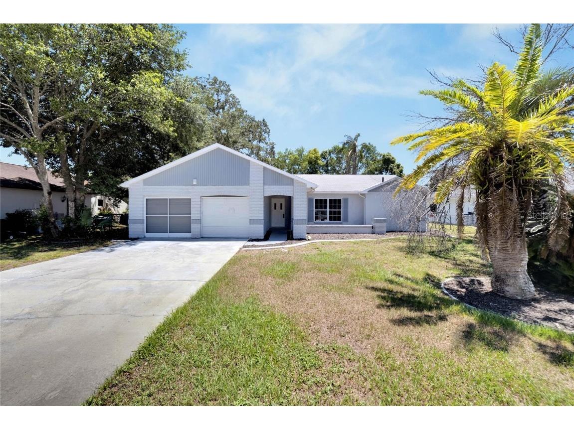 8396 Camphor Drive Spring Hill FL 34606 T3529062 image1