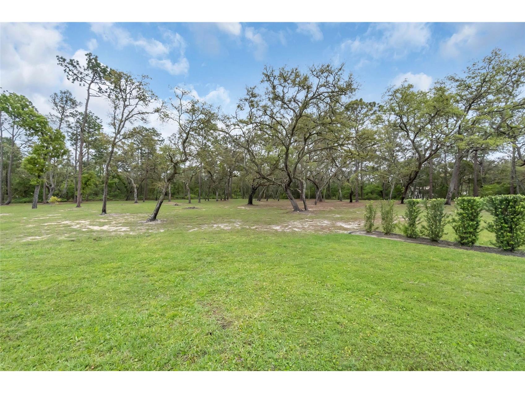 8398 Happy Trail Kissimmee FL 34747 O6396464 image6