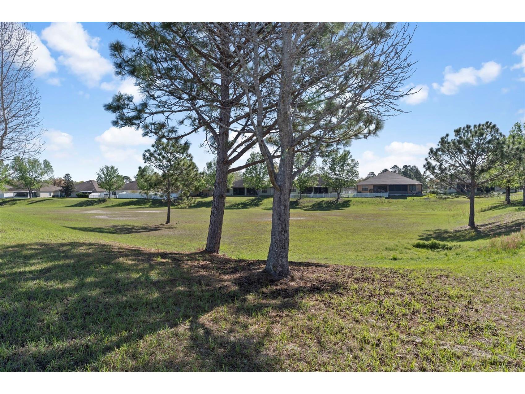 8398 Indian Laurel Lane Brooksville FL 34613 W7884049 image29