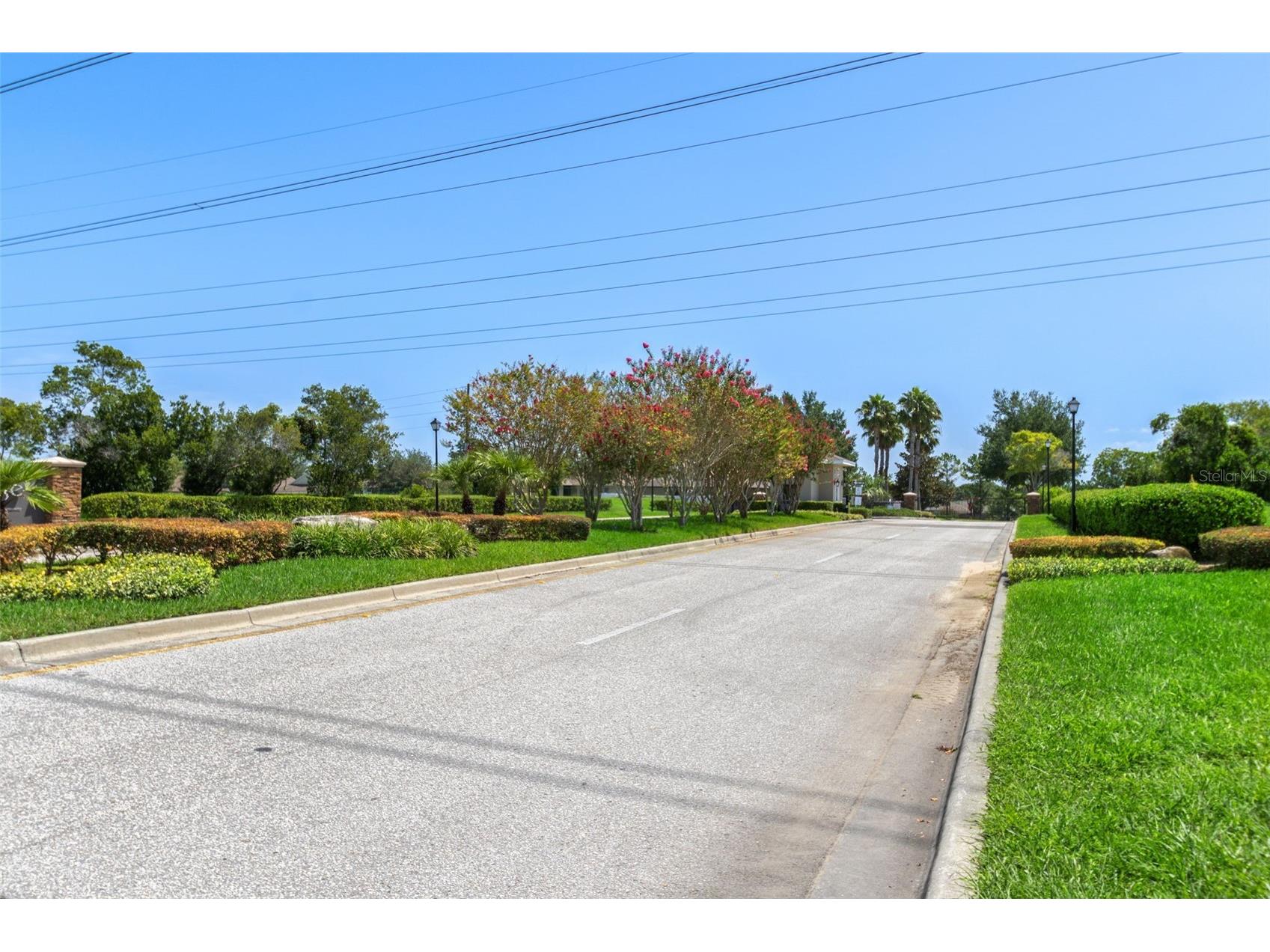 8398 Indian Laurel Lane Brooksville FL 34613 W7884049 image31
