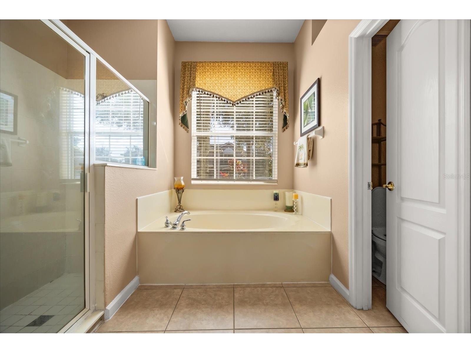 84 Braelock Drive Ocoee FL 34761 O6355060 image34