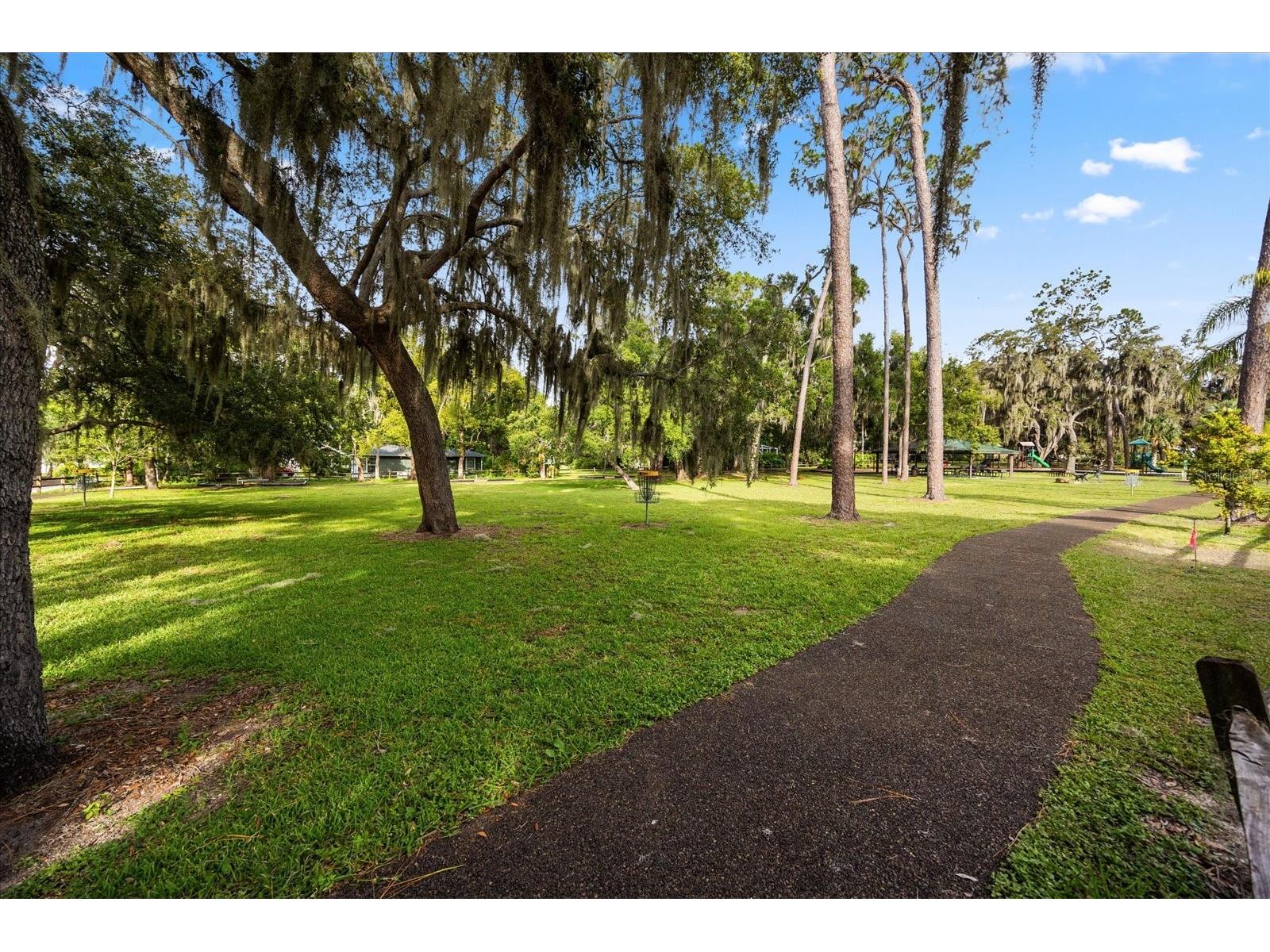 84 Braelock Drive Ocoee FL 34761 O6355060 image47