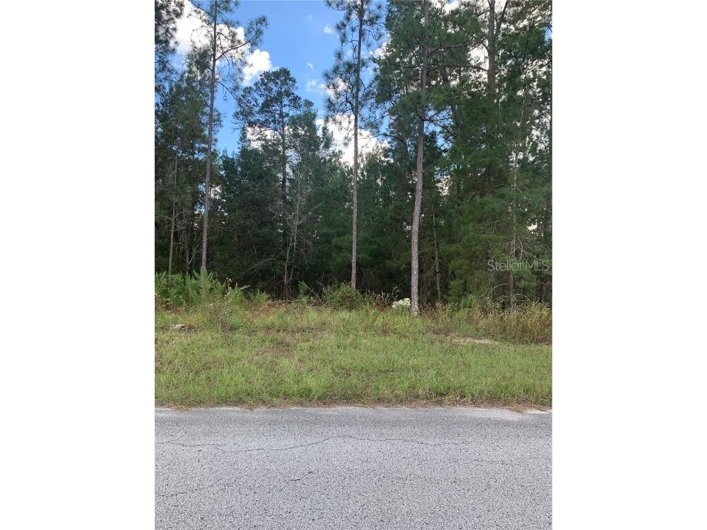 84 Grass Street Homosassa FL 34446 W7838989 image1