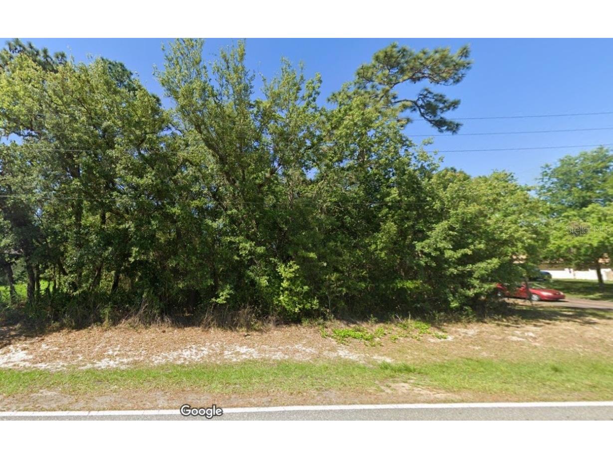 84 Greentree Street Homosassa FL 34446 O6238229 image1