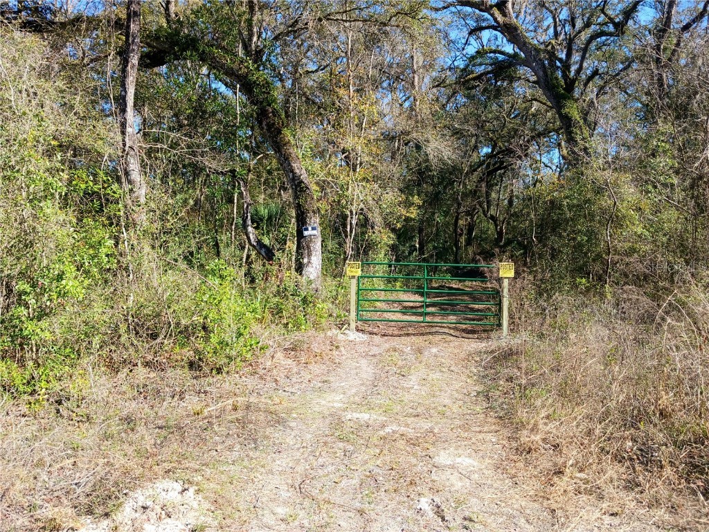 84 NE 290 Avenue Old Town FL 32680 OM672764 image1