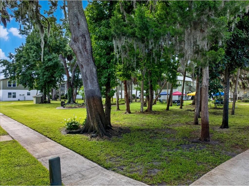 840 Center Avenue #730 Daytona Beach FL 32117 V4950074 image18