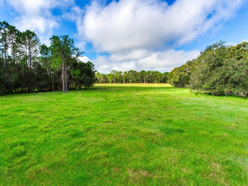 840 County Road 665 Ona FL 33865 T3478177 image1