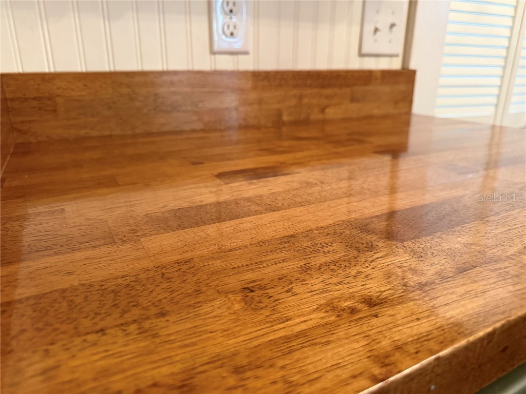 840 E 9th Avenue Mount Dora FL 32757 G5103970 image6