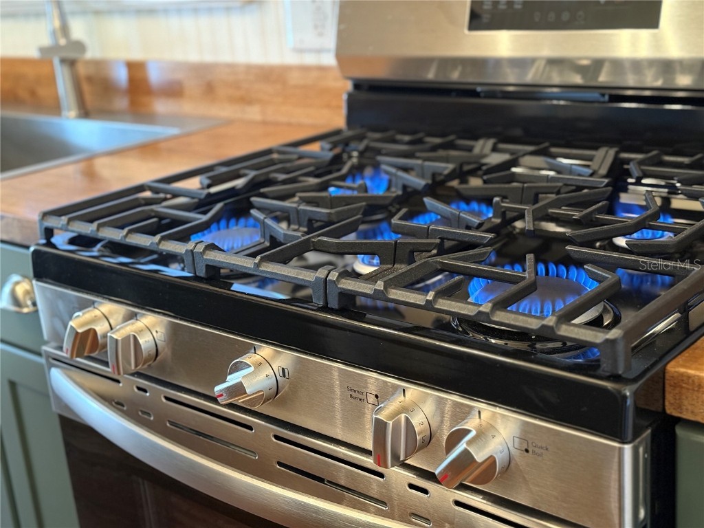 840 E 9th Avenue Mount Dora FL 32757 G5103970 image8