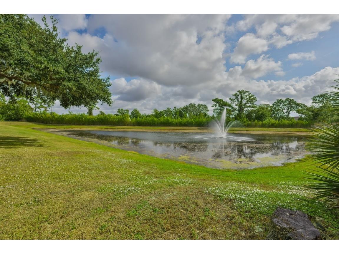 840 King Leon Way Sun City Center FL 33573 TB8454807 image31