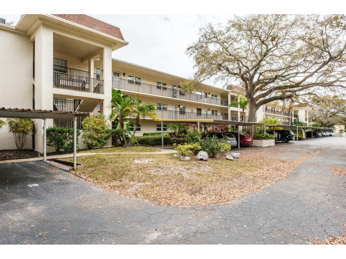 840 Virginia Street #102 Dunedin FL 34698 U8231155 image1
