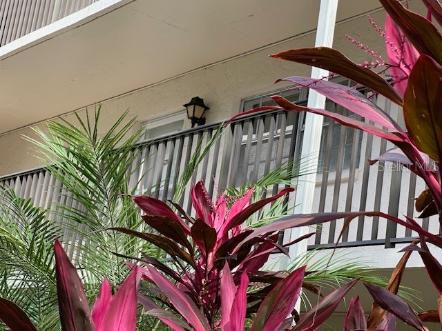 840 Virginia Street #202 Dunedin FL 34698 W7875150 image1