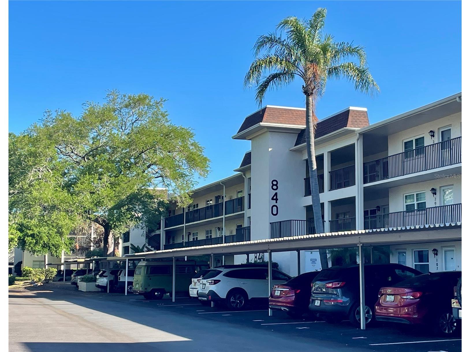 840 Virginia Street #303 Dunedin FL 34698 TB8494323 image1
