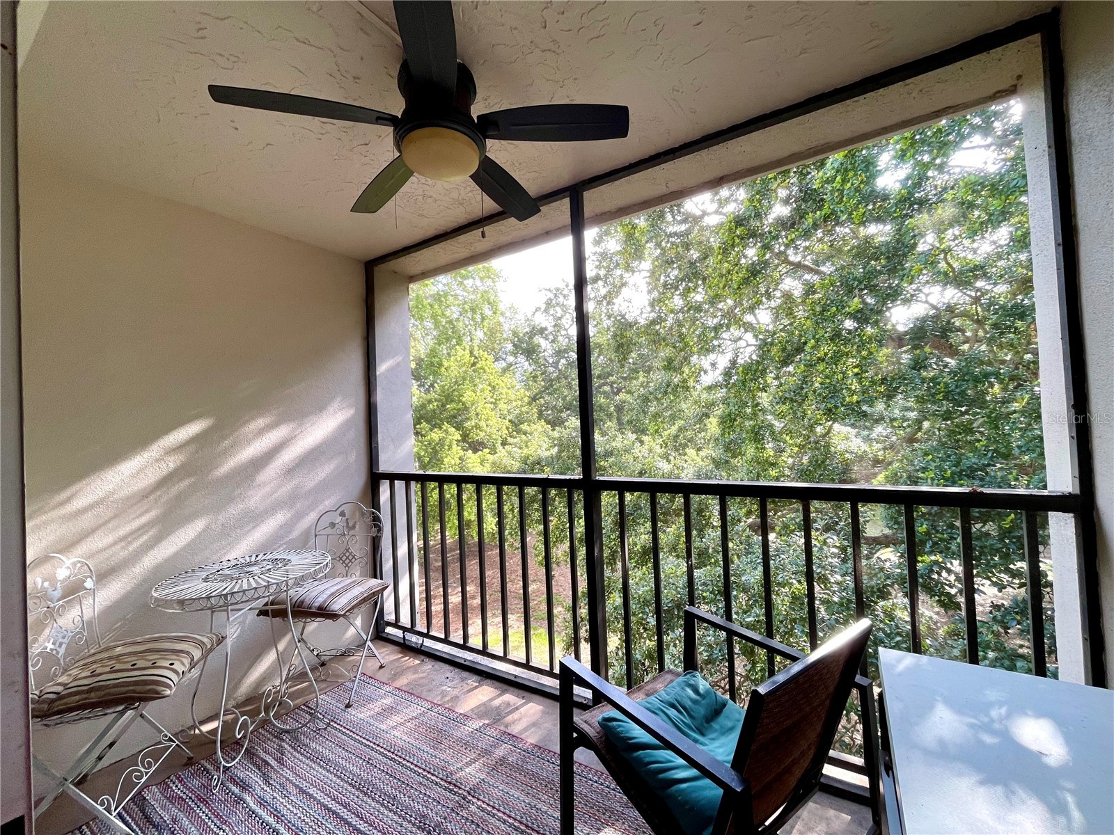 840 Virginia Street #303 Dunedin FL 34698 TB8494323 image13