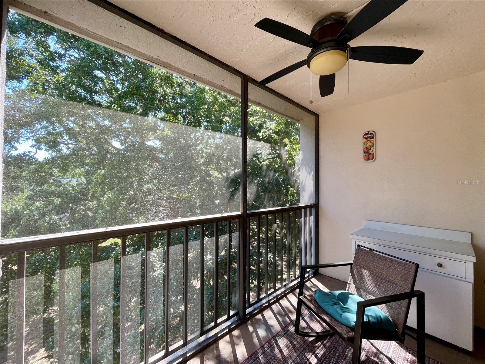 840 Virginia Street #303 Dunedin FL 34698 TB8494323 image14