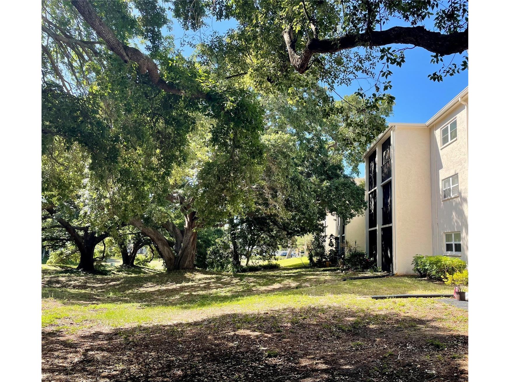 840 Virginia Street #303 Dunedin FL 34698 TB8494323 image17