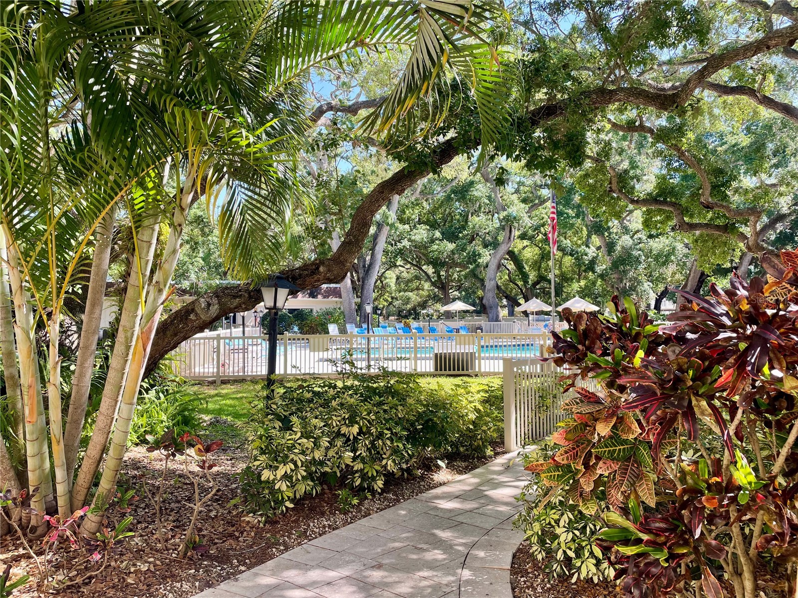 840 Virginia Street #303 Dunedin FL 34698 TB8494323 image19