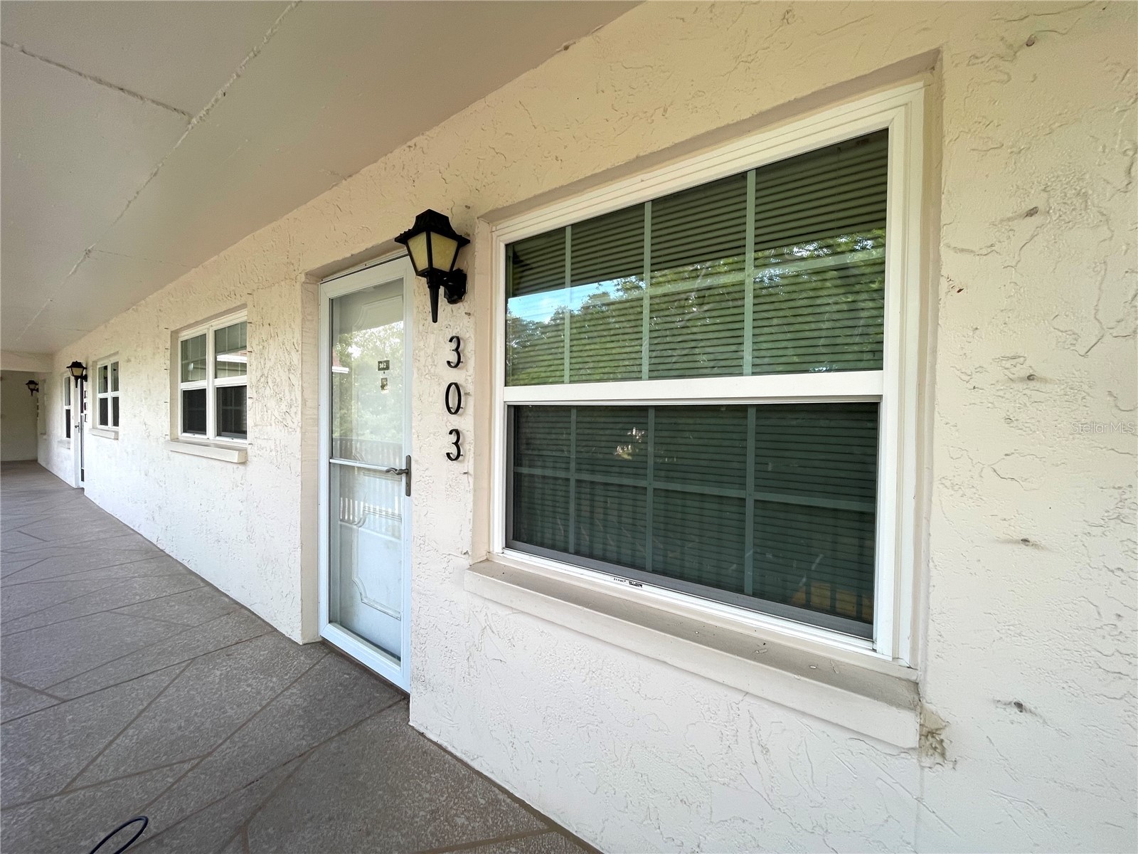 840 Virginia Street #303 Dunedin FL 34698 TB8494323 image2