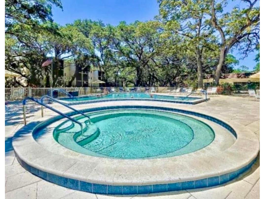 840 Virginia Street #303 Dunedin FL 34698 TB8494323 image22