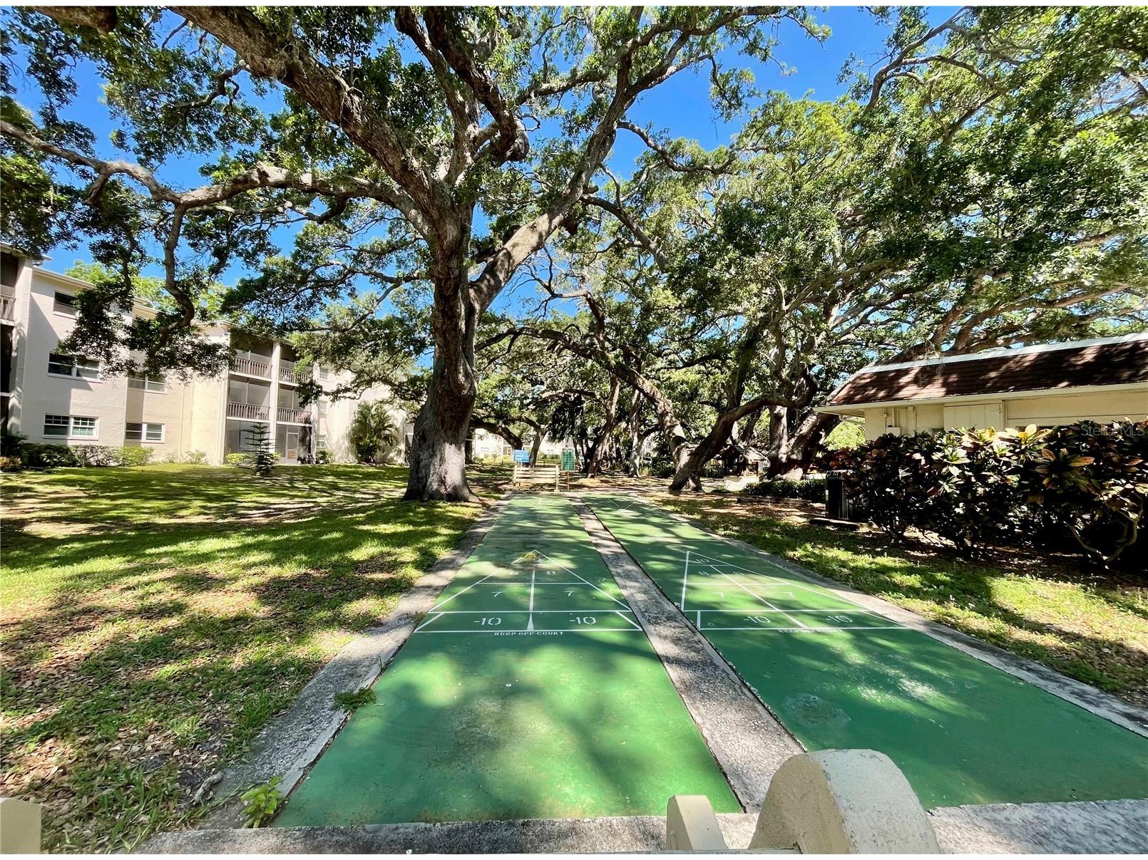 840 Virginia Street #303 Dunedin FL 34698 TB8494323 image23
