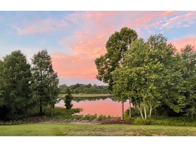 8400 Vintage Drive Orlando FL 32835 - LAKE FLOYD O6368589 image1