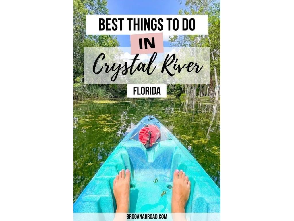 8400 W Mayo Drive Crystal River FL 34429 TB8429429 image5