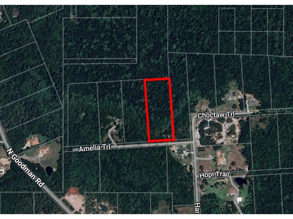 8401 Amelia Trail Kissimmee FL 34747 O6369754 image1