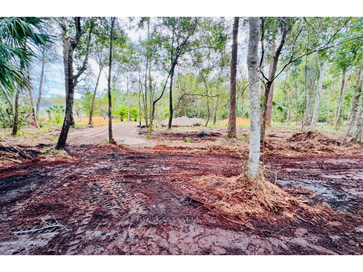 8401 Amelia Trail Kissimmee FL 34747 O6369754 image4