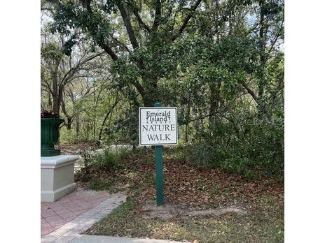 8401 Crystal Cove Loop Kissimmee FL 34747 O6382485 image31