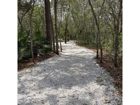 8401 Crystal Cove Loop Kissimmee FL 34747 O6382485 image32