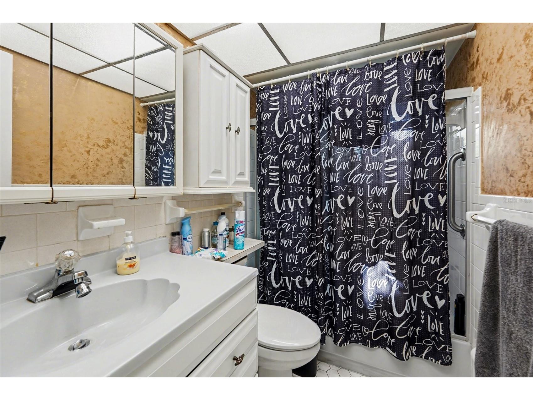 8402 111th Street N #101 Seminole FL 33772 TB8497702 image20