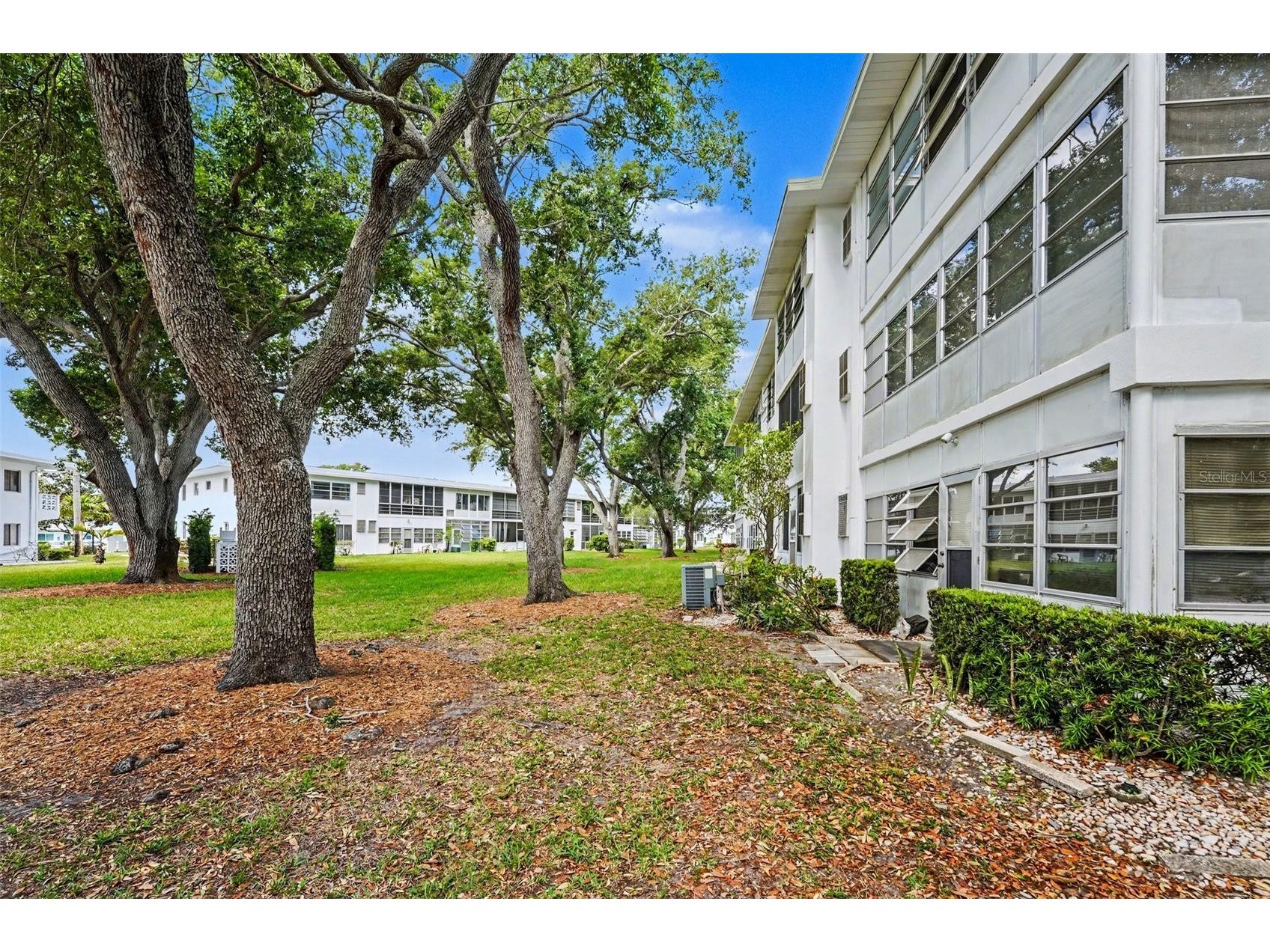 8402 111th Street N #101 Seminole FL 33772 TB8497702 image21
