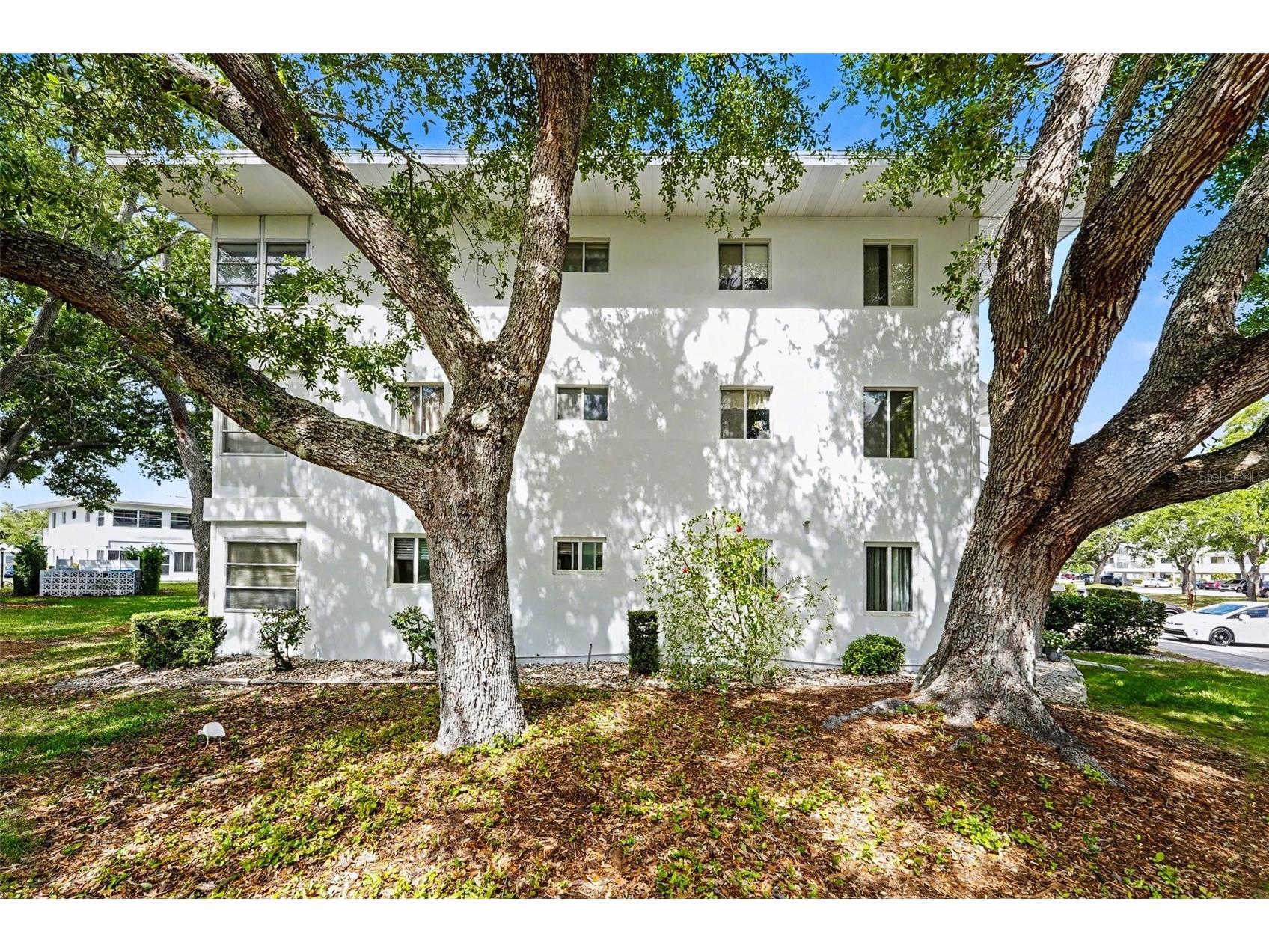 8402 111th Street N #101 Seminole FL 33772 TB8497702 image26