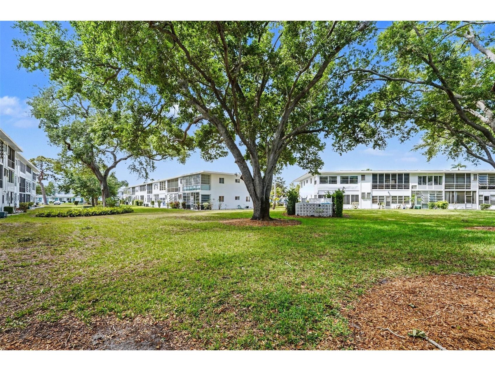 8402 111th Street N #101 Seminole FL 33772 TB8497702 image28