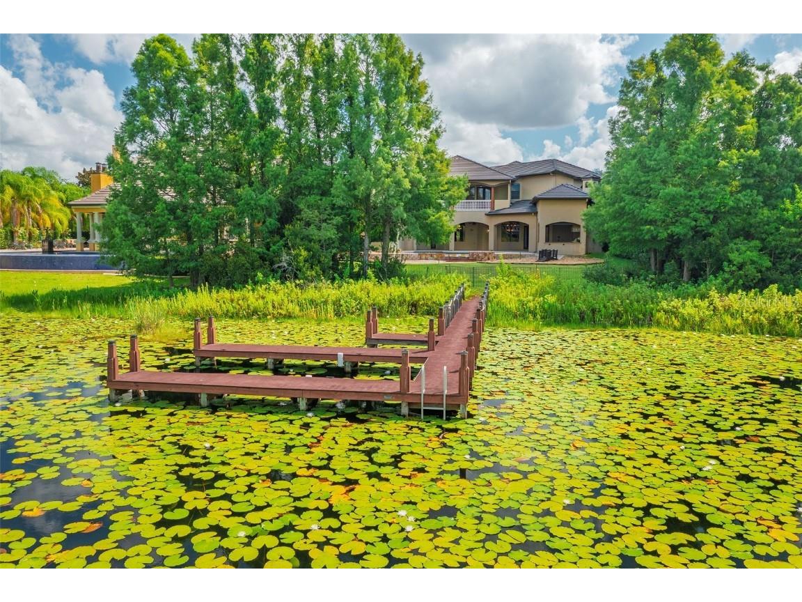 8402 Lake Burden Circle Windermere FL 34786 - LAKE BURDEN O6345629 image41