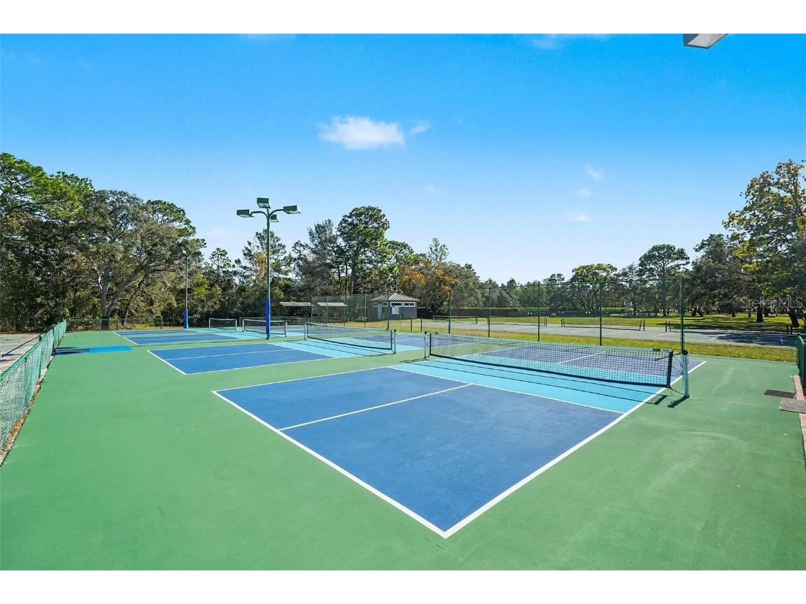 8402 Maybelle Drive Weeki Wachee FL 34613 TB8455689 image40