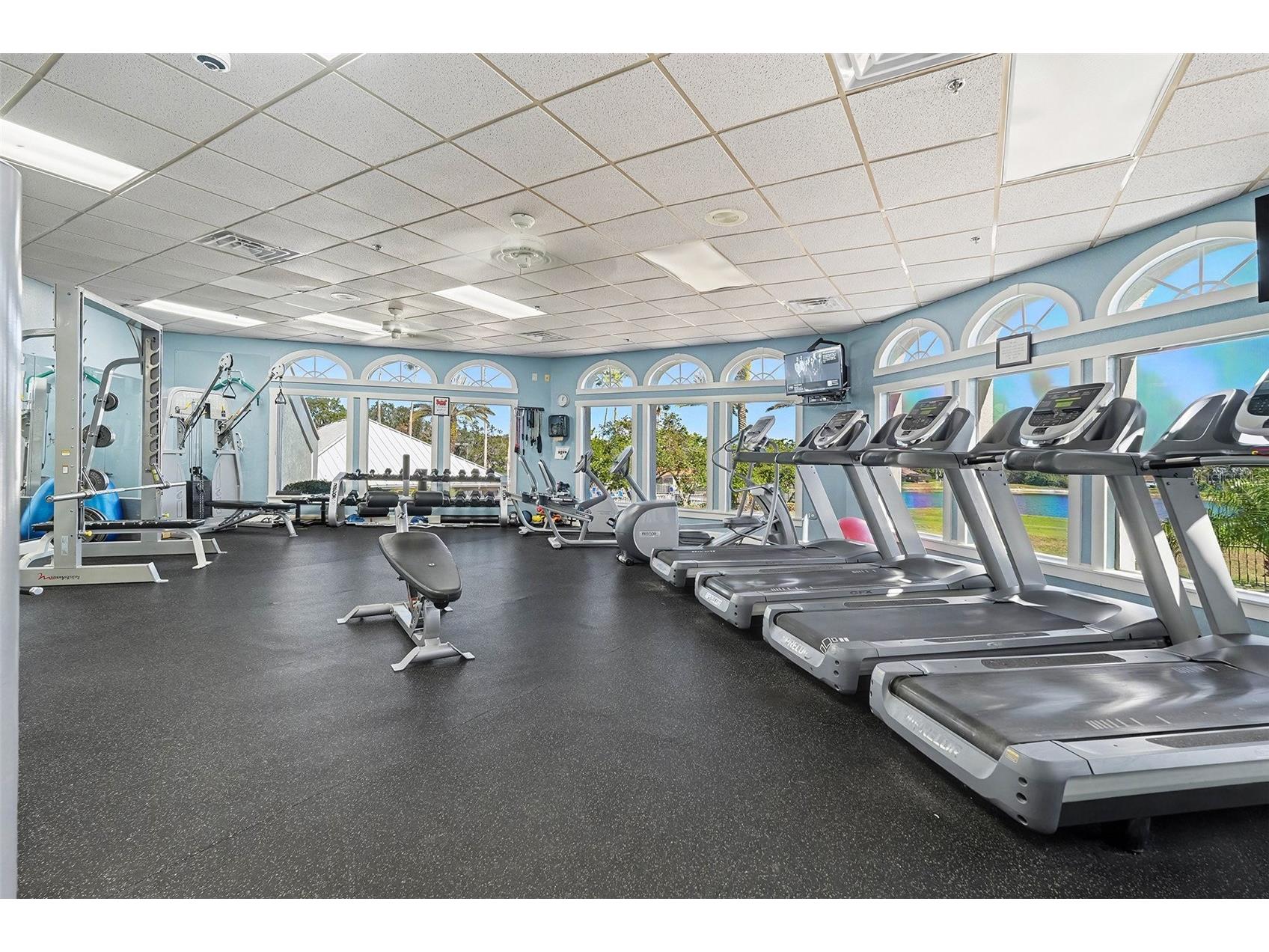 8402 Maybelle Drive Weeki Wachee FL 34613 TB8455689 image42