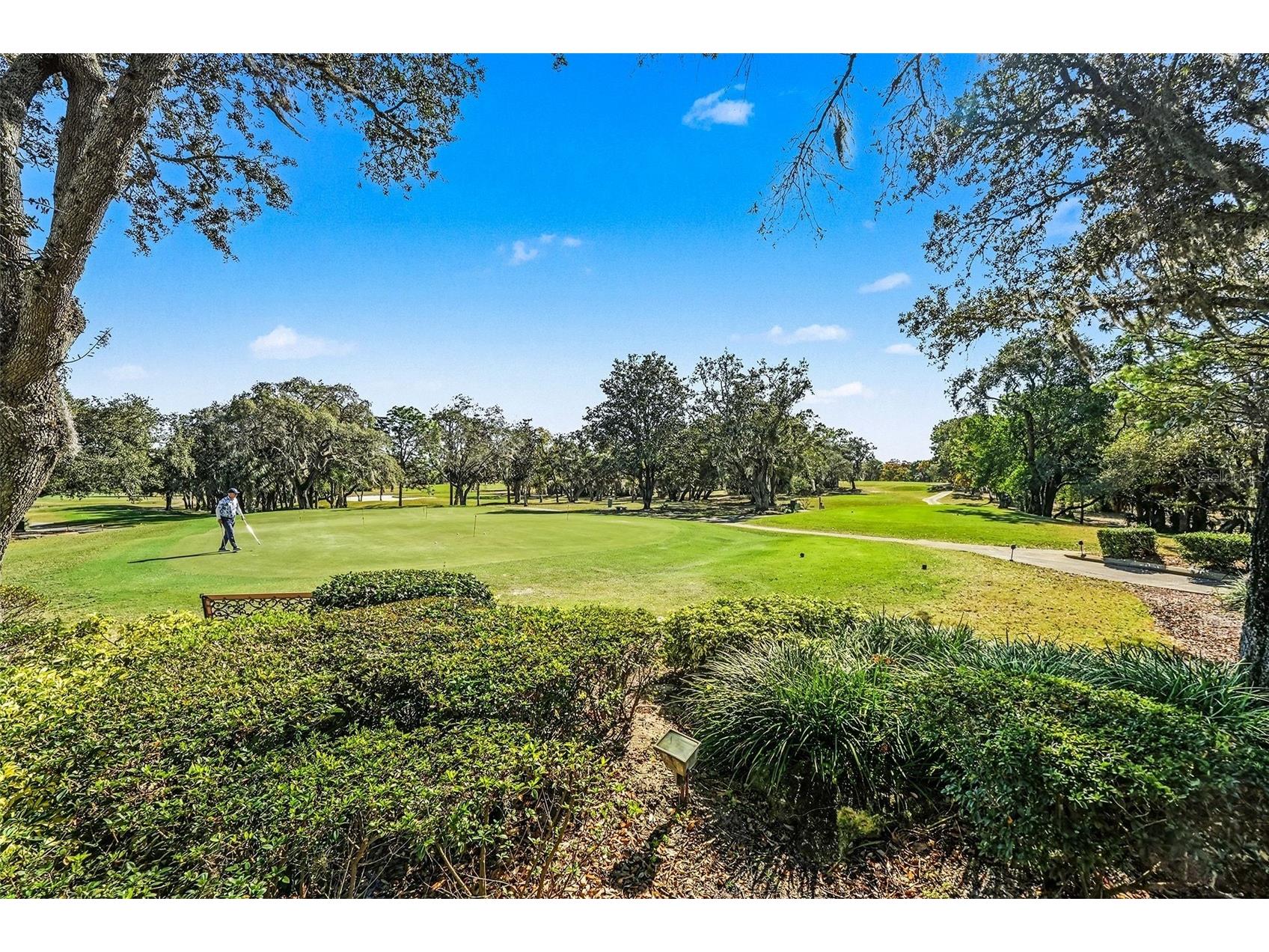 8402 Maybelle Drive Weeki Wachee FL 34613 TB8455689 image50