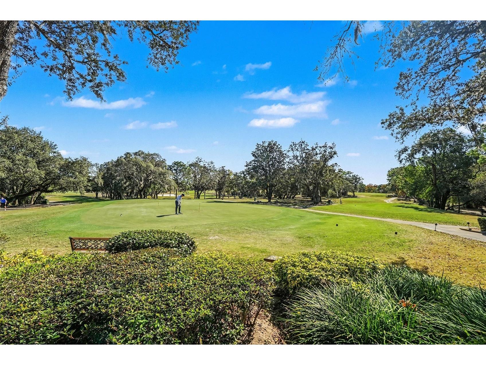 8402 Maybelle Drive Weeki Wachee FL 34613 TB8455689 image51