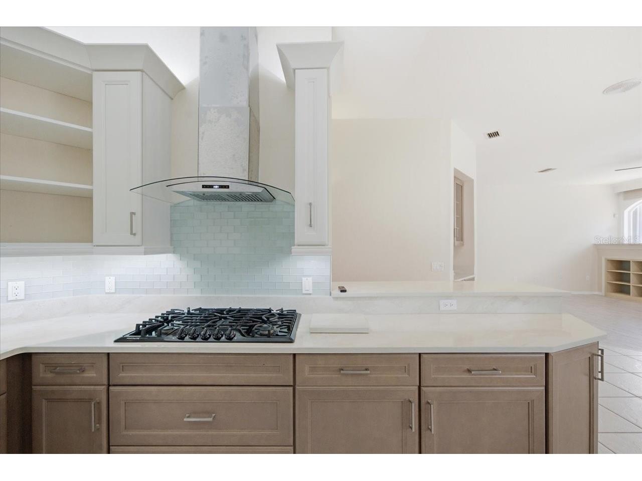 8402 Maybelle Drive Weeki Wachee FL 34613 W7887225 image25