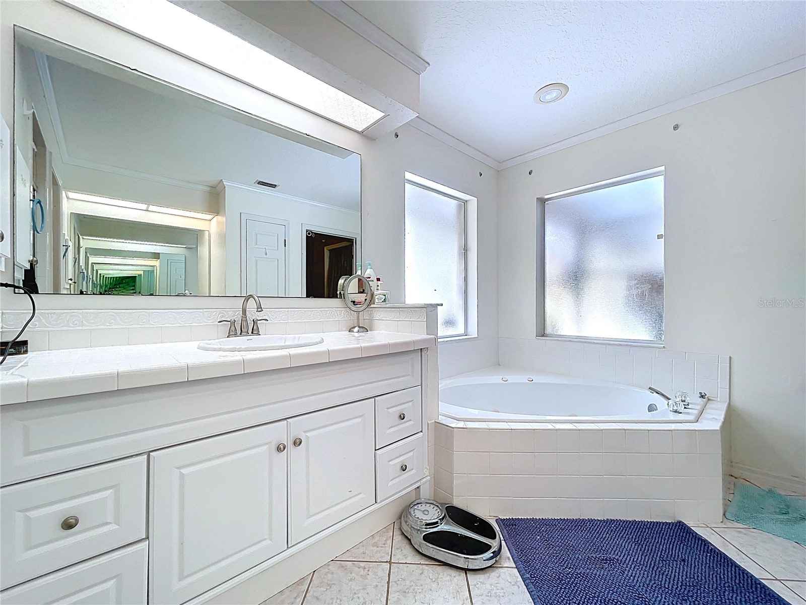 8402 Southwood Pines Street Lithia FL 33547 B4902229 image11