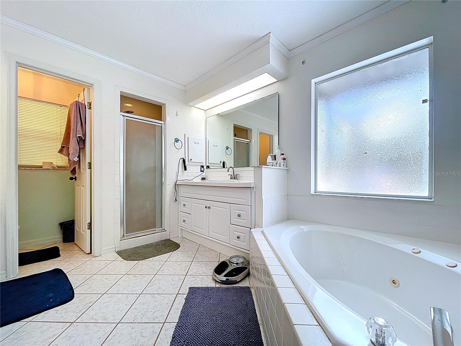 8402 Southwood Pines Street Lithia FL 33547 B4902229 image12
