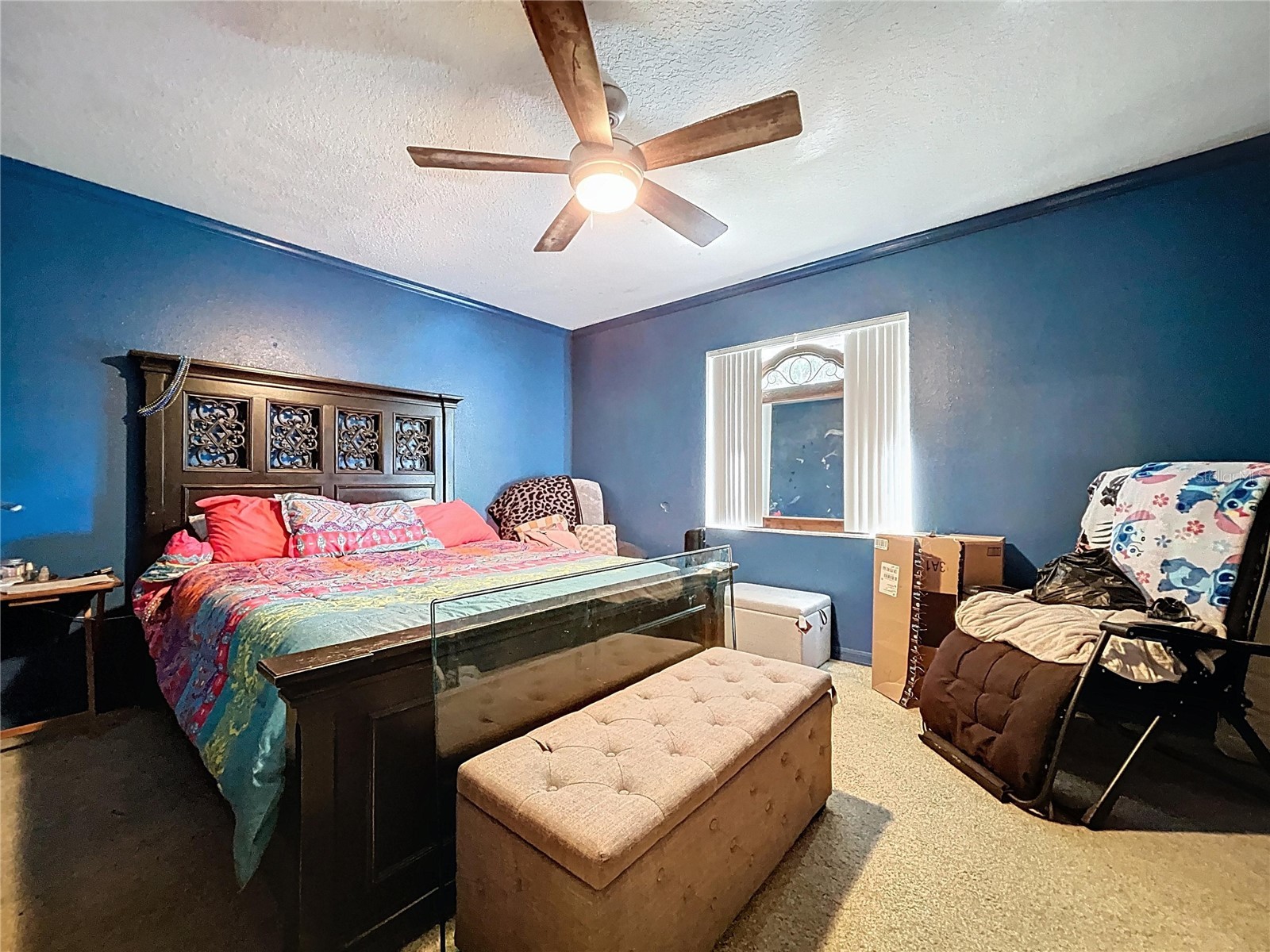8402 Southwood Pines Street Lithia FL 33547 B4902229 image13