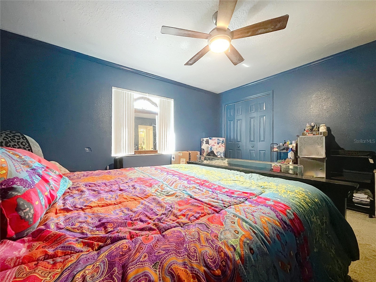 8402 Southwood Pines Street Lithia FL 33547 B4902229 image14